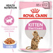 Royal Canin Kitten Sterilised Кусочки паштета в желе для стерилизованных котят – интернет-магазин Ле’Муррр